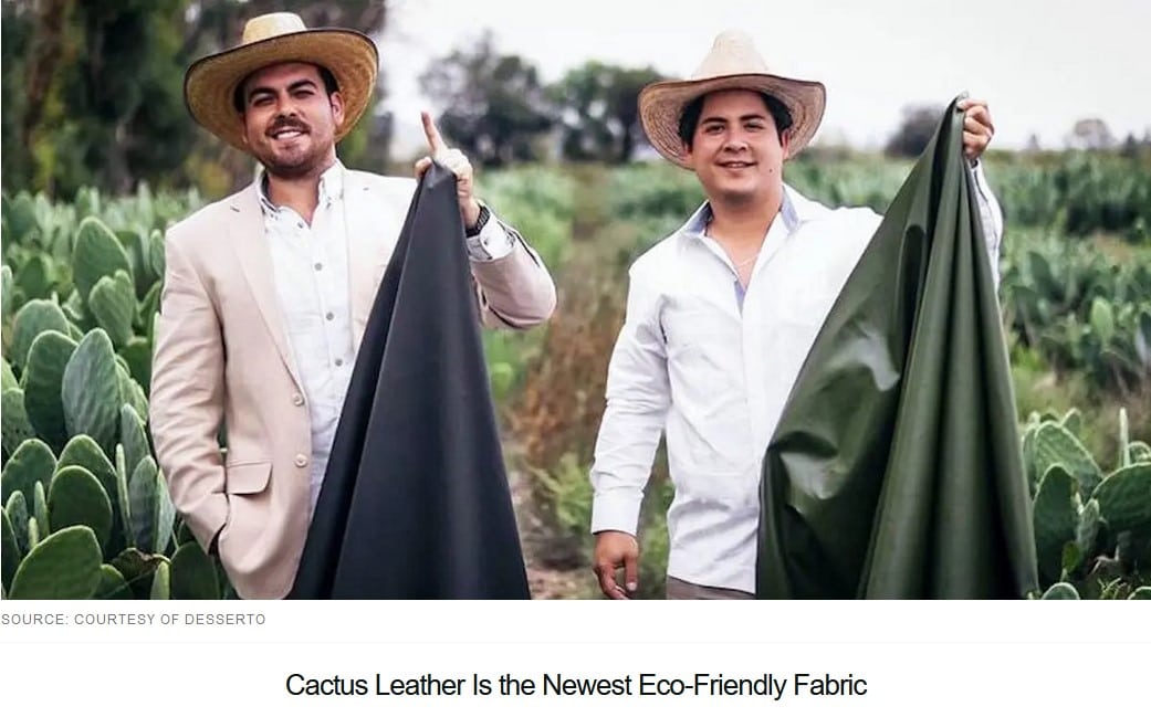 Cactus Leather Cactus Leather