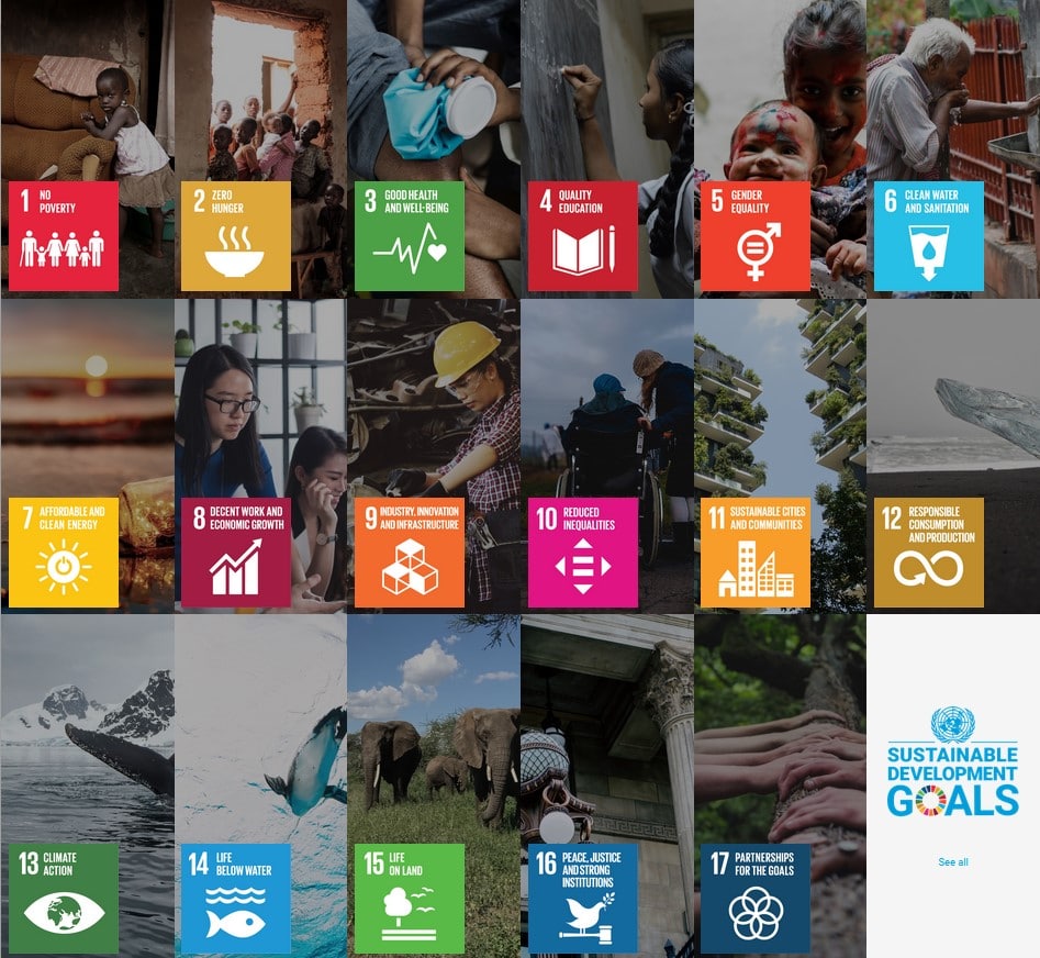 UN SDGs UN SDGs